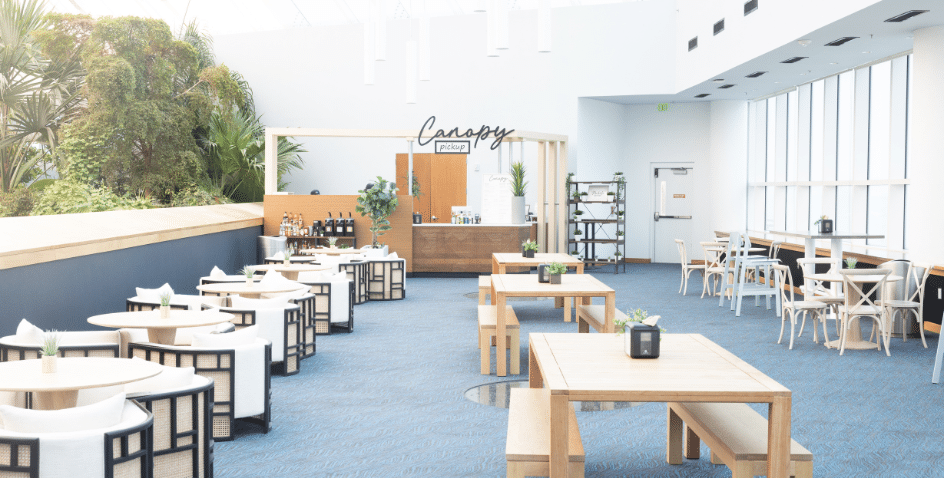 Bright, modern indoor dining area with wooden tables and chairs, blue carpet, potted plants, and a bar labeled Canopy at the back. Large windows on the right let in natural light.