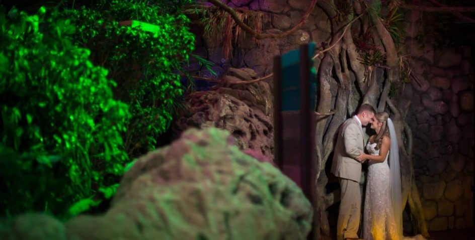 A bride and groom stand close together, embracing and touching foreheads, surrounded by lush greenery and large tree roots against a stone wall, with dramatic, colorful lighting.