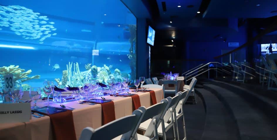 A formal dining table with white chairs is set with glassware and utensils beside a large aquarium window displaying fish and coral in a dimly lit, elegant room.