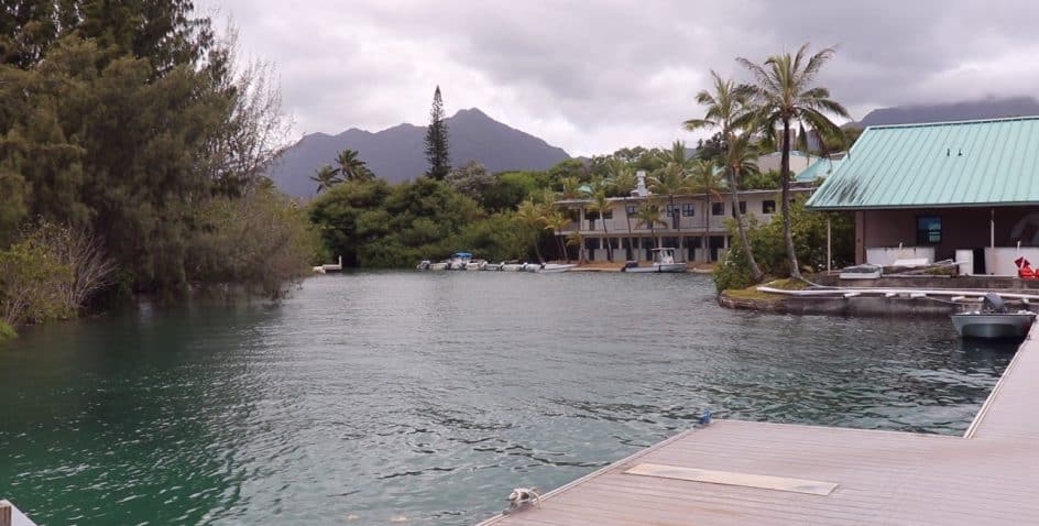 A calm waterfront with a dock, boats, lush trees, and a building with a green roof. Palm trees and distant mountains are visible under a cloudy sky.