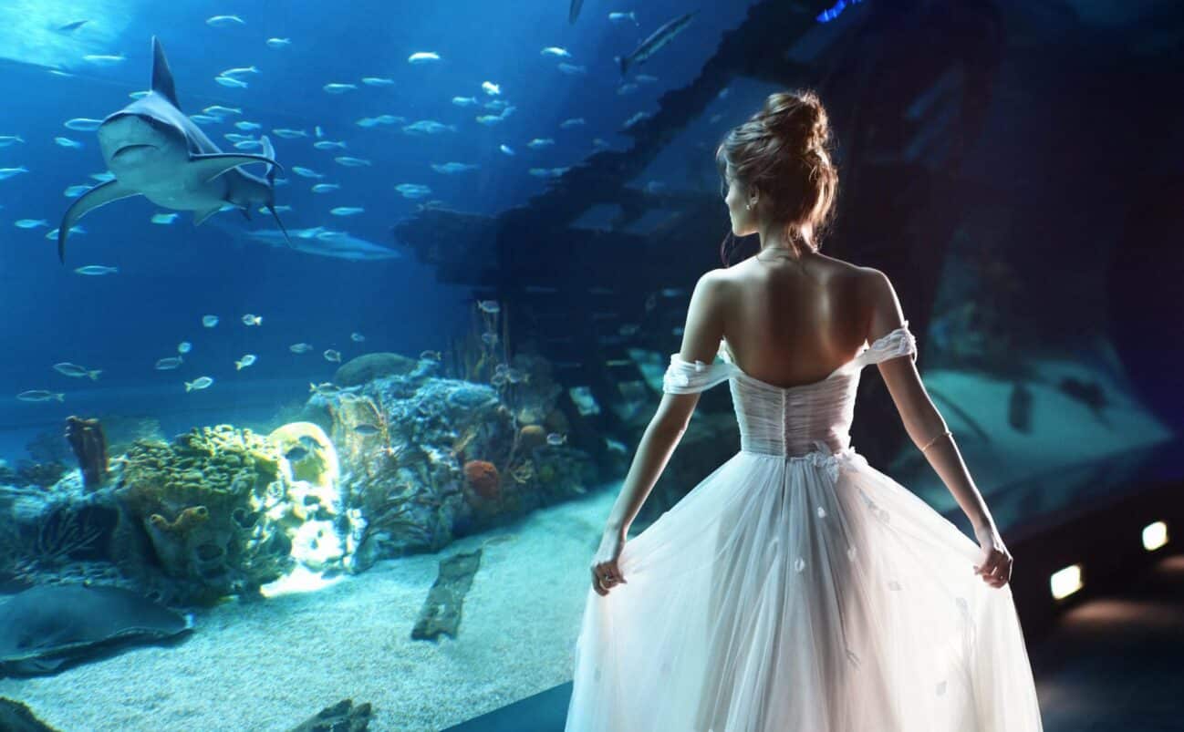 A woman in a white, flowing dress stands in front of a large aquarium window, watching a shark and various fish swim near a shipwreck display. Soft light illuminates the scene.