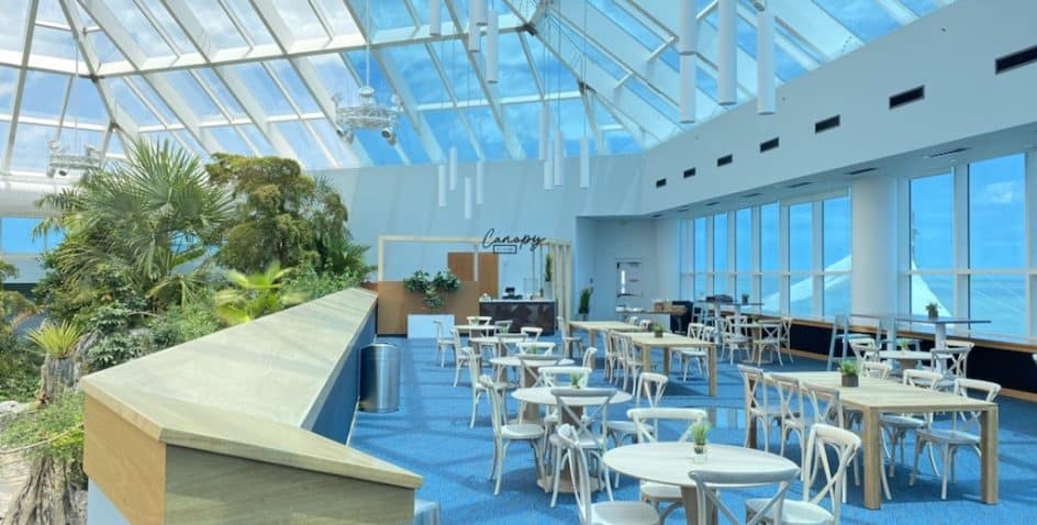 A bright, modern café with large windows and a glass ceiling, featuring white tables and chairs, blue carpet, potted plants, and a sign reading Canopy. Sunlight floods the open, airy space.