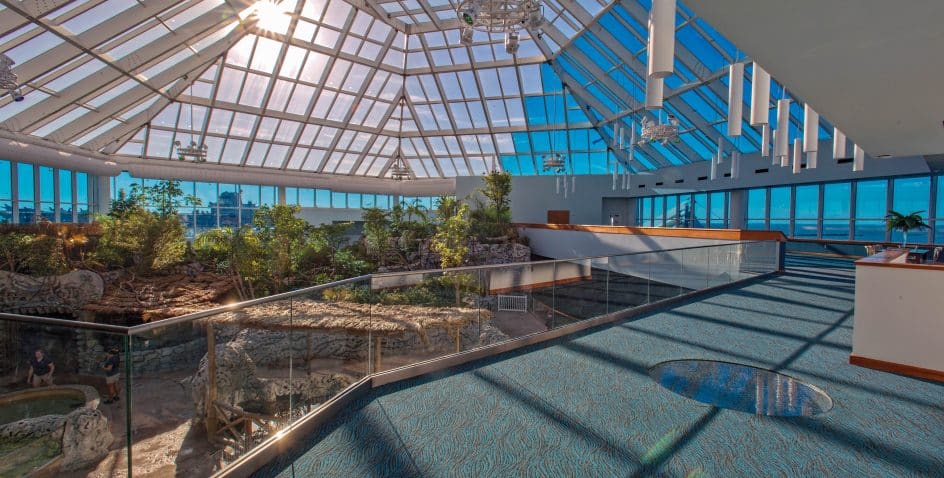 A spacious indoor atrium with a glass ceiling, filled with sunlight, lush plants, trees, and a rocky landscape. There’s a blue-carpeted walkway with a glass railing, creating a bright, inviting atmosphere.