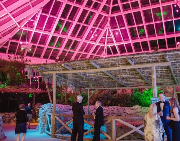 People in formal attire mingle beneath a glass ceiling illuminated with pink and green lights. The setting features a wooden structure, rocks, and lush plants, creating an elegant indoor garden atmosphere.