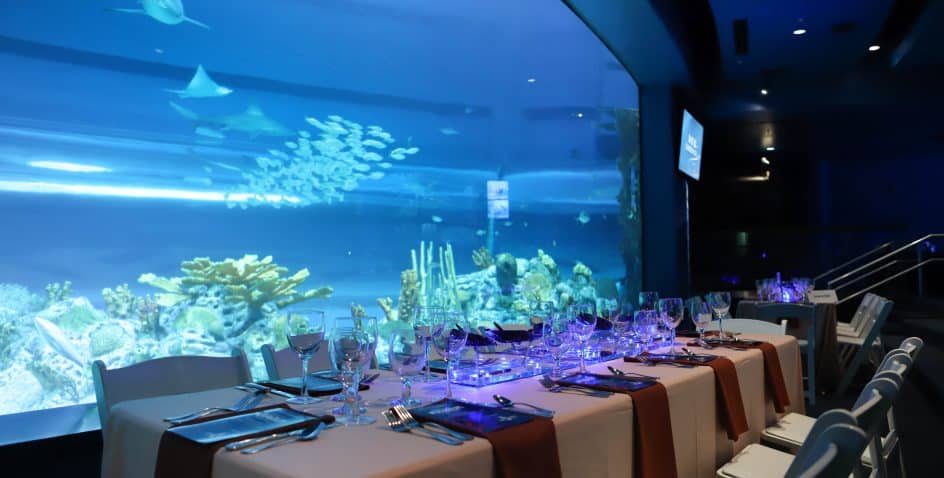 A long dining table set with plates, glasses, and silverware sits beside a large aquarium tank filled with coral, fish, and sharks in an elegantly lit room.