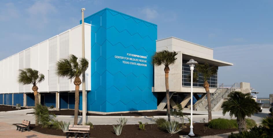 Modern building with a blue geometric-patterned wall labeled Center for Wildlife Rescue, Texas State Aquarium. Palm trees, landscaped plants, and a bench are in the foreground under a clear sky.