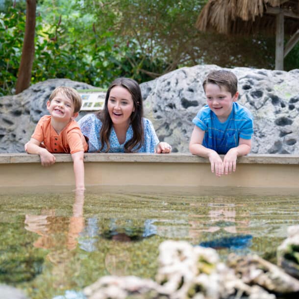 Children enjoying themselves at the Texas State Aquarium