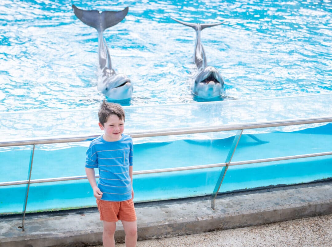 Child posing with dolphins at the Texas State Aquarium