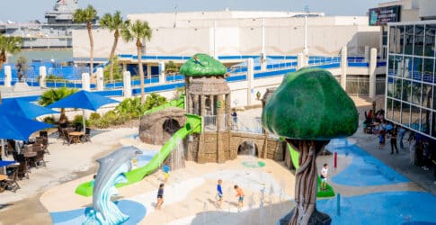 Image of Spring Break at the Texas State Aquarium: What to Expect