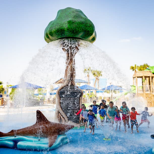 Children play under a large water feature shaped like a tree, surrounded by playful dolphin sculptures, at an outdoor splash park on a sunny day. Blue umbrellas and palm trees are visible in the background.