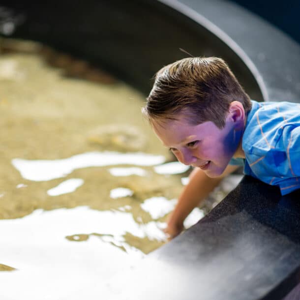 Child playing at the Texas State Aquarium