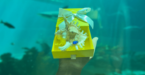 Image of Kendra Scott Hosts Fundraiser for Texas State Aquarium’s STEMM Education