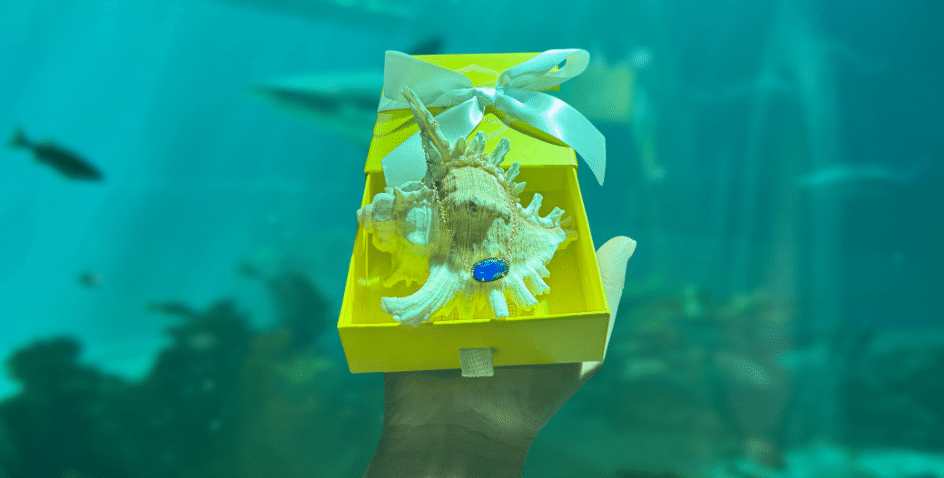Image of Kendra Scott Hosts Fundraiser for Texas State Aquarium’s STEMM Education