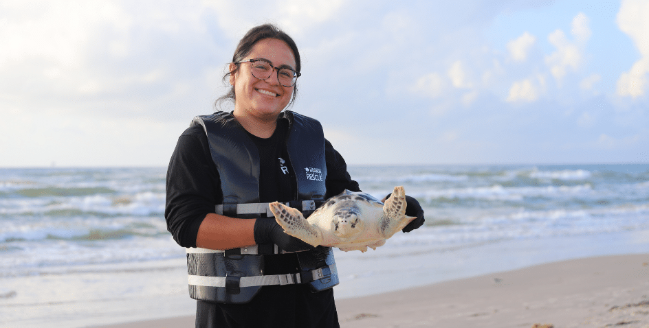 Widlife Rescue holding turtle #529 at the beach