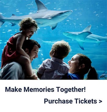 A smiling family with two young children enjoys watching sharks swim in a large aquarium. Text below reads, Make Memories Together! Purchase Tickets >.