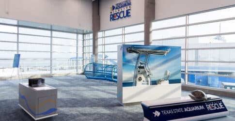 Image of State aquarium’s new wildlife rescue center enables public to observe animals being saved 