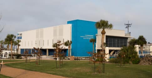 Image of Texas State Aquarium Readies Wildlife Rescue Operations as Cold Front Approaches