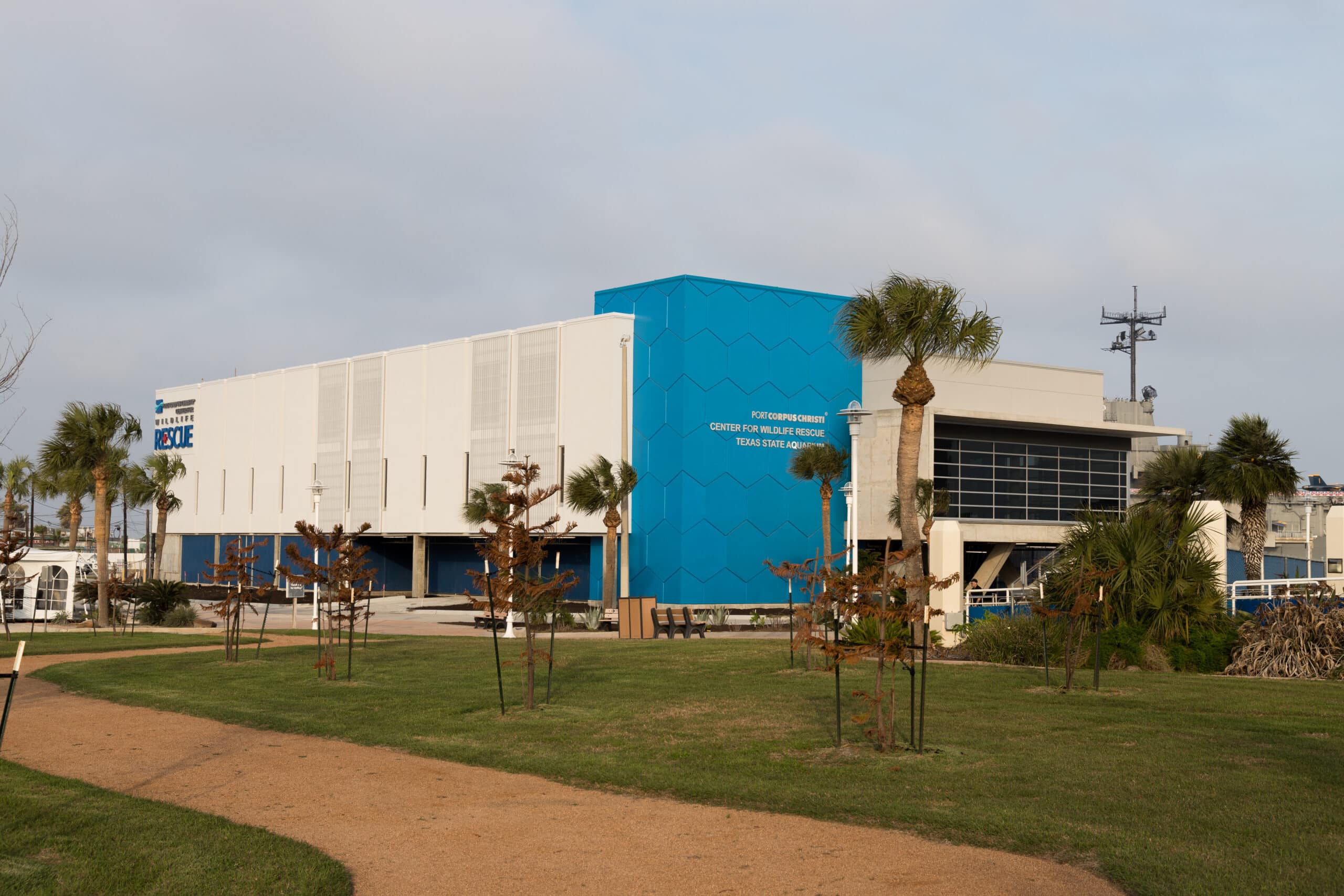 Image of Texas State Aquarium Readies Wildlife Rescue Operations as Cold Front Approaches