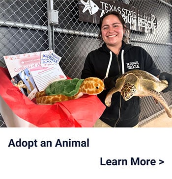 Adopt an Animal