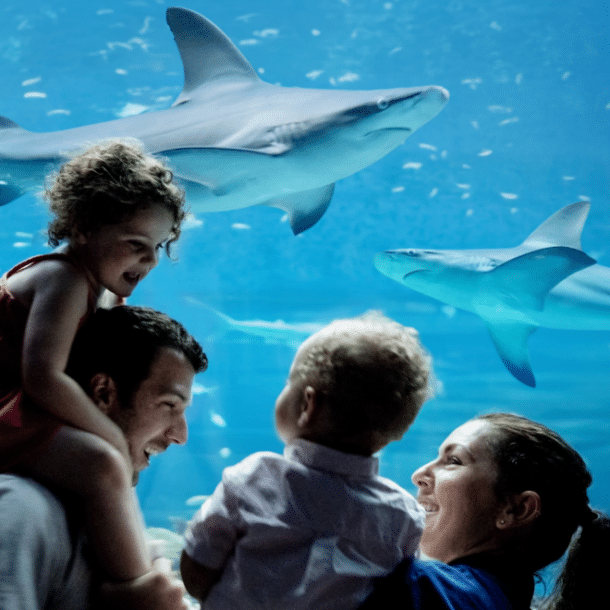 A joyful family with two young children smiles and looks at each other in front of a large aquarium window, where two sharks swim in blue water behind them.
