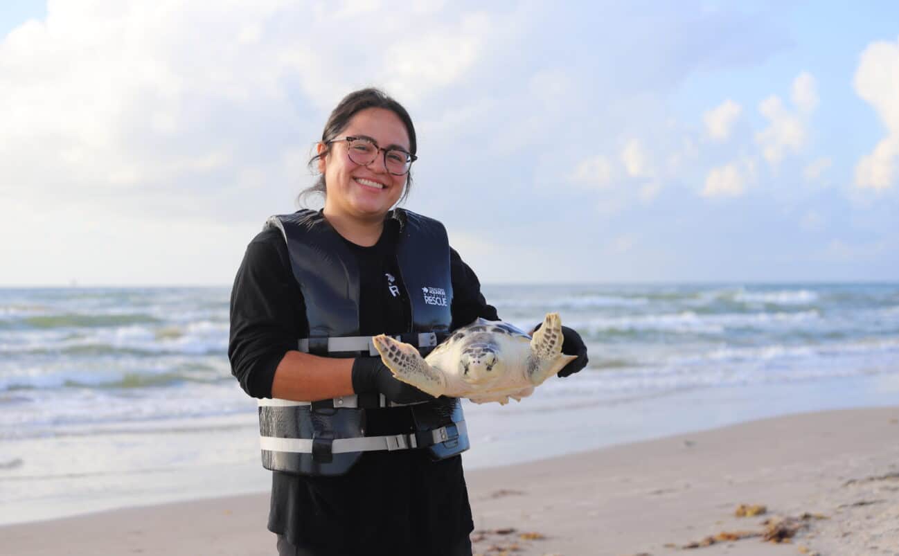 A smiling person in a life vest and gloves holds a sea turtle on a sandy beach, with gentle waves and a cloudy sky in the background.