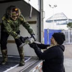 Two people wearing gloves carefully transfer a sea turtle from a truck. One stands inside the truck, the other on the ground. Buildings, a gate, and some trees are visible in the background.