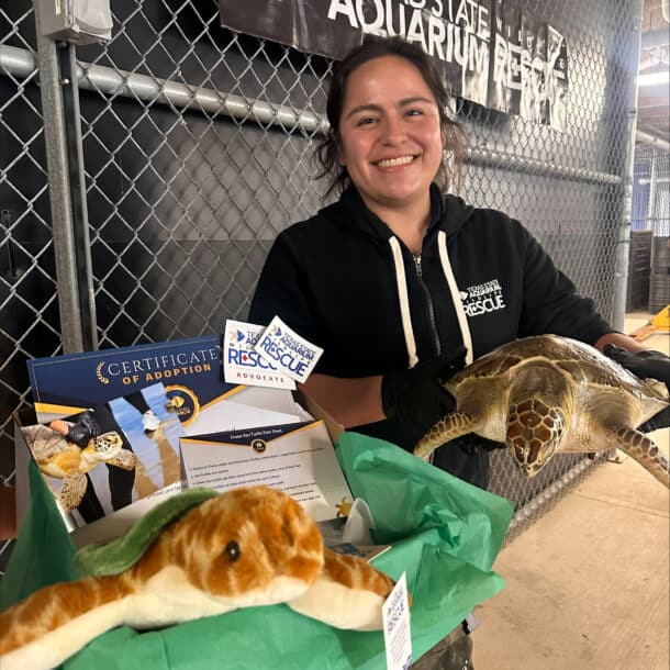 A smiling woman in a black hoodie holds a small sea turtle and a box containing a plush turtle, certificate, and aquarium rescue materials, standing in front of a Texas State Aquarium Rescue sign.