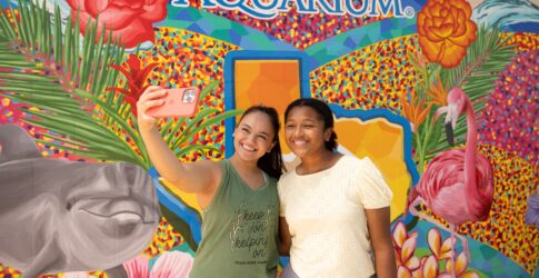 Image of Best Photo Spots at the Texas State Aquarium: Where to Take Pictures and What to See