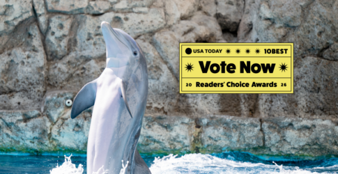 Image of Texas State Aquarium Nominated for USA TODAY 10Best Readers’ Choice Award for the Eighth Year