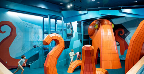 Image of Ocean Odyssey at the Texas State Aquarium: What to Expect at the New Experience