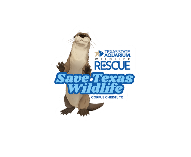 Logotipo de rescate de vida silvestre junto al dibujo de una nutria con el texto "Salva la vida silvestre de Texas".