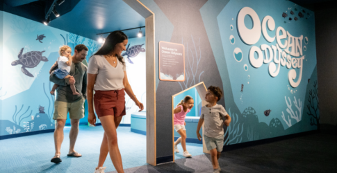 Image of What’s New at the Texas State Aquarium This Sumer: Events, Exhibits & Family Fun